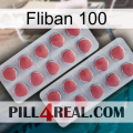 Fliban 100 19